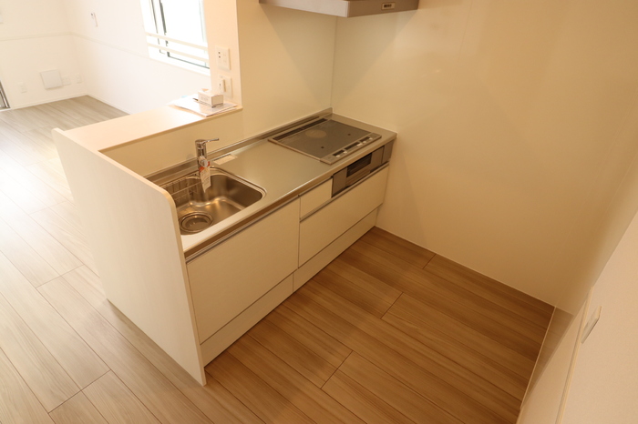 ��ʌ�����s����Q���ڂ̃A�p�[�g�̃L�b�`��