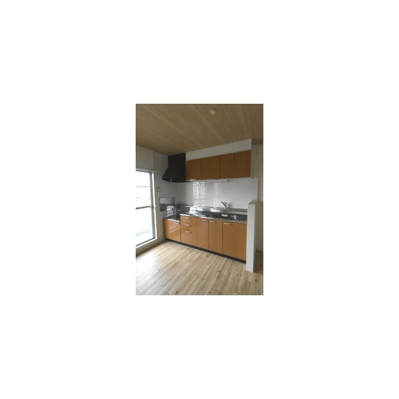 ��ʌ��@�c�s�@�c�P���ڂ̃}���V�����̃L�b�`��