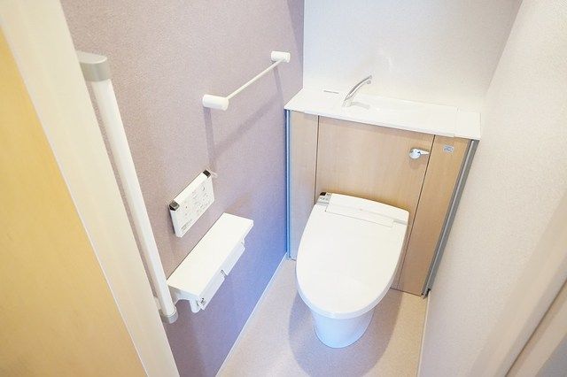 ��ʌ�����s�厚���̃A�p�[�g�̃g�C��