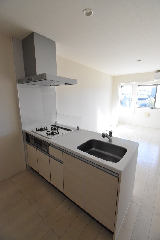 ��ʌ��������܎s��΋�������Q���ڂ̃A�p�[�g�̃L�b�`��