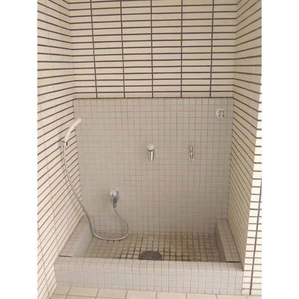 ��ʌ��z�J�s�ԎR�{���̃}���V�����̂��̑�