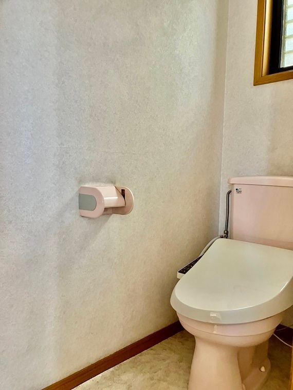 ��ʌ��������܎s����厚���V�n�̈�ˌ��Ẵg�C��