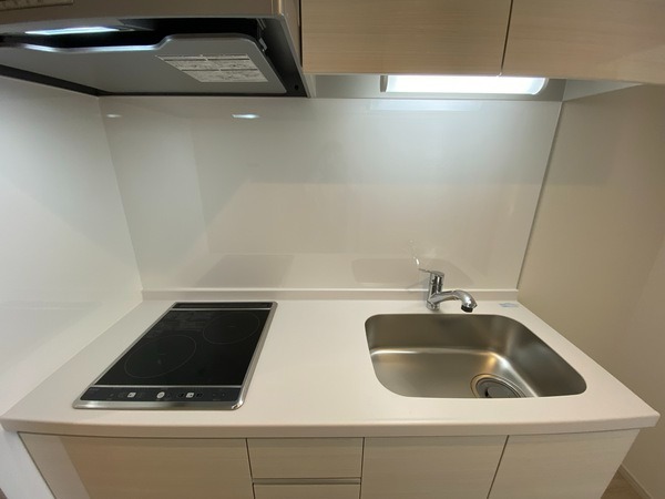 ��ʌ�����s�����Q���ڂ̃A�p�[�g�̃L�b�`��