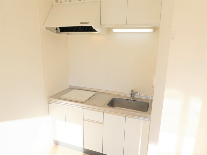 ��ʌ�����s�厚�_�˂̃}���V�����̃L�b�`��