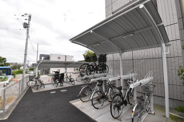 ��ʌ�����s�厚���s������̃}���V�����̂��̑�