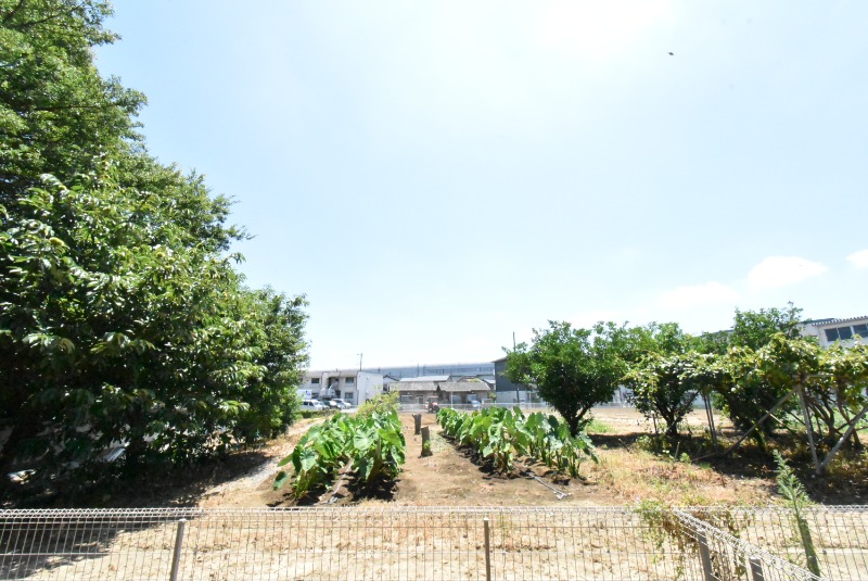 ��ʌ������s���U���ڂ̃A�p�[�g�̂��̑�