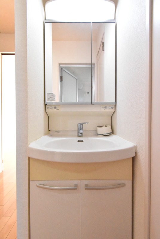 ��ʌ��z�J�s���������̃}���V�����̐��ʏ�