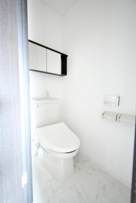 ��ʌ�����s�厚���s�̃}���V�����̃g�C��