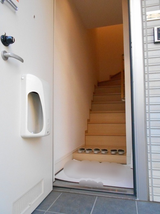 ��ʌ�����s�厚���s�̃A�p�[�g�̌���