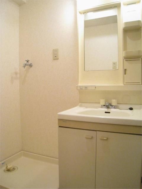 ��ʌ�����s������T���ڂ̃}���V�����̂��̑�