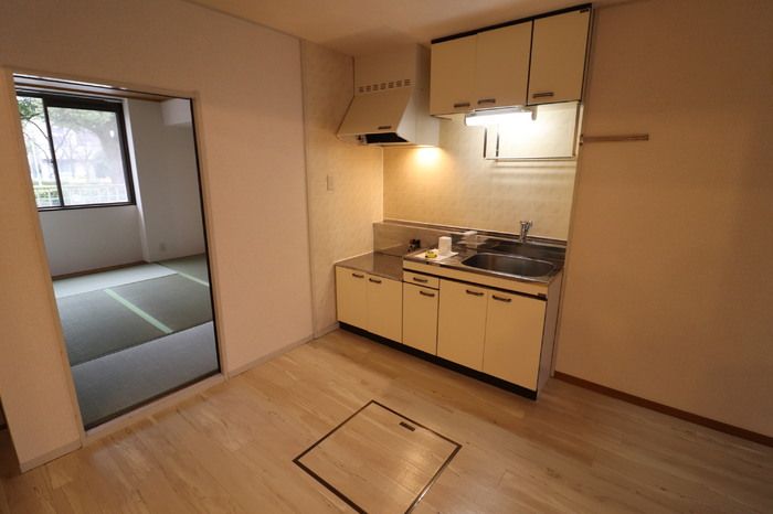 ��ʌ��������܎s�΋擌�Y�a�Q���ڂ̃A�p�[�g�̃L�b�`��