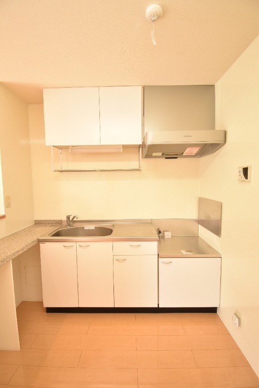 ��ʌ��������܎s����厚�w��̃A�p�[�g�̃L�b�`��