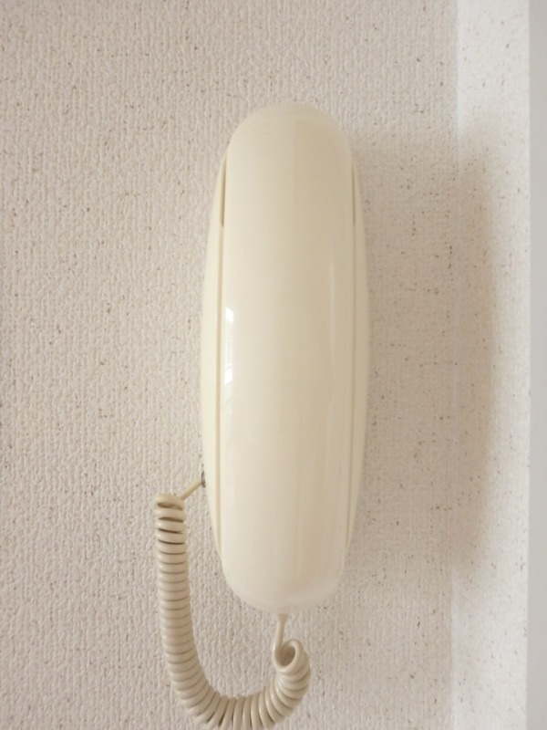 ��ʌ��������܎s�����擌��{�S���ڂ̃A�p�[�g�̂��̑�