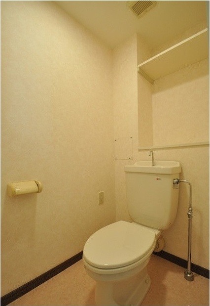 ��ʌ��������܎s�������J�V���ڂ̃}���V�����̃g�C��