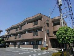 ʌ܎s΋撇Qڂ̃}V̌O