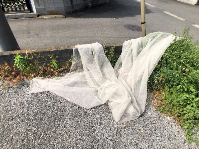 ��ʌ��������܎s��΋���S���ڂ̃A�p�[�g�̂��̑�