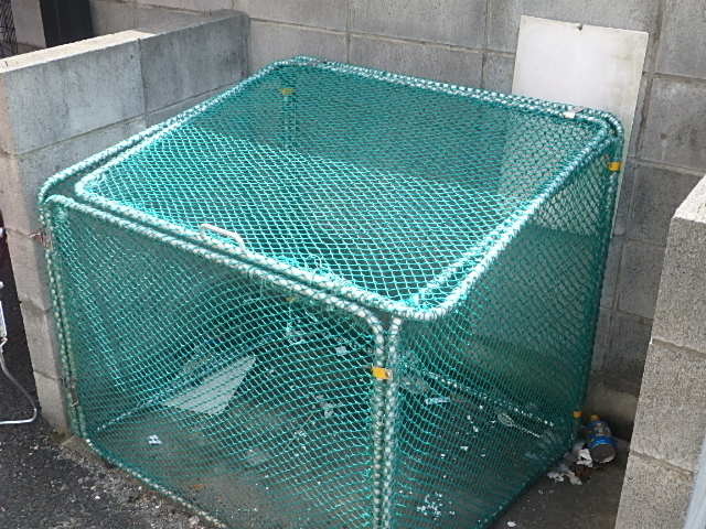 ��ʌ��������܎s������厚�쒆��̃A�p�[�g�̂��̑�