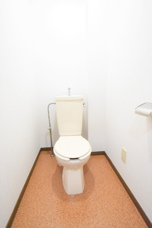 ��ʌ�����s�����J�{���S���ڂ̃}���V�����̃g�C��