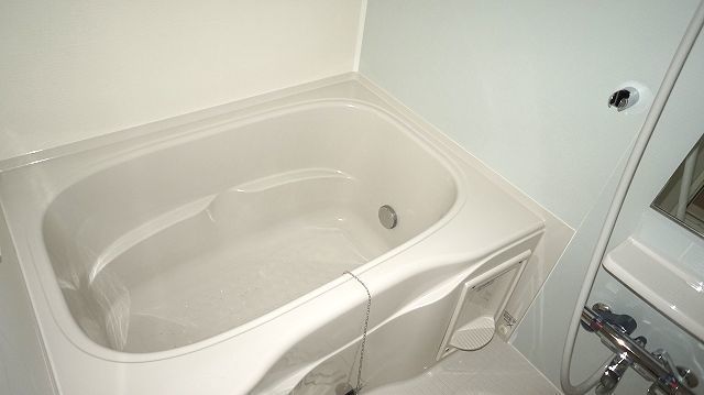 ��ʌ��k�����S�ɓޒ��h�S���ڂ̃A�p�[�g�̃o�X