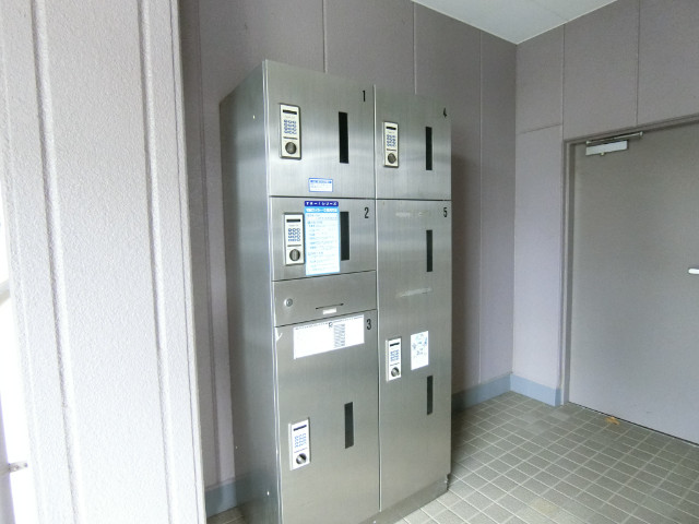 ��ʌ�����s�厚������̃}���V�����̂��̑�