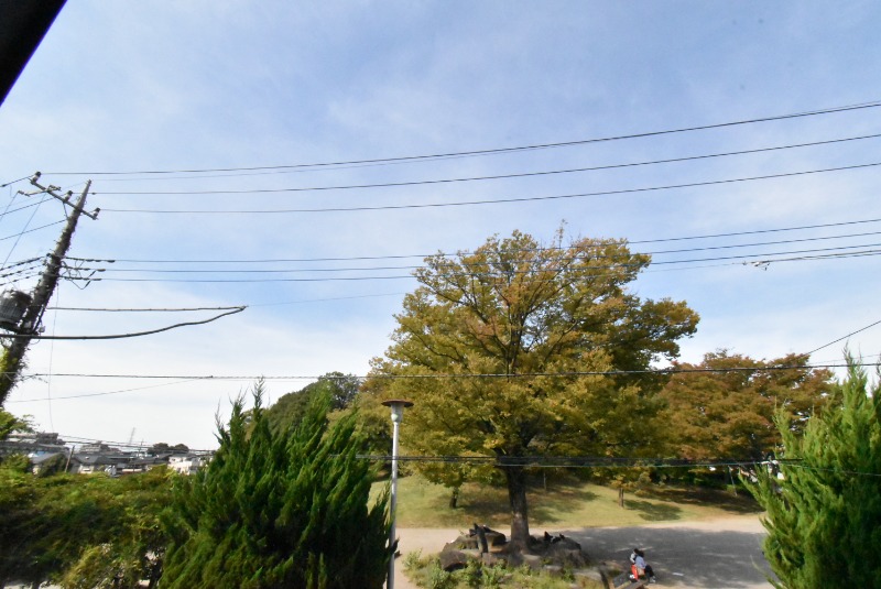 ��ʌ��������܎s�΋擌�Y�a�S���ڂ̃}���V�����̂��̑�