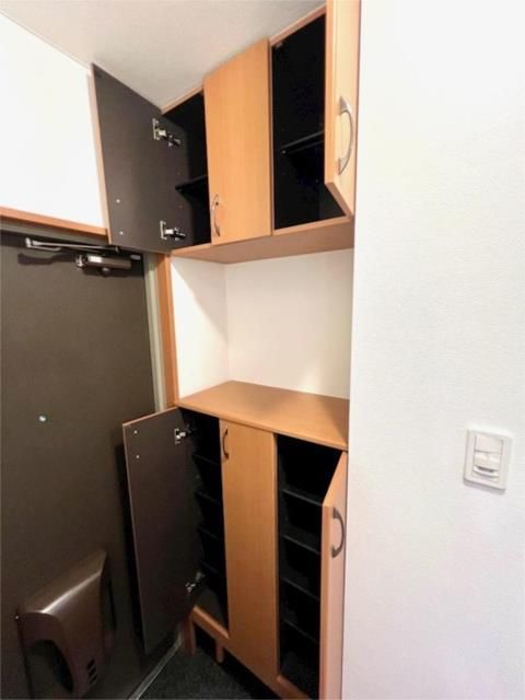 ��ʌ�����s�厚������̃}���V�����̎��[