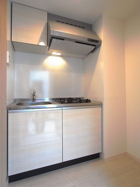 ��ʌ��������܎s�Y�a��̉ƂV���ڂ̃A�p�[�g�̃L�b�`��