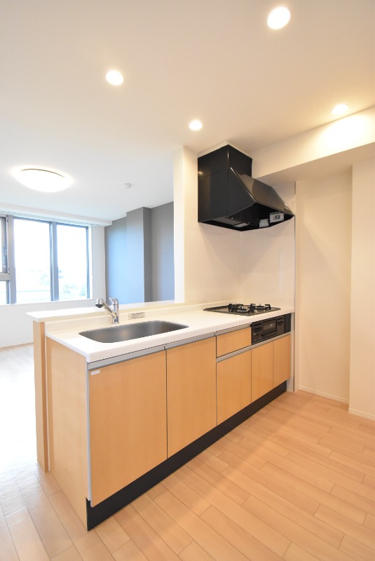 ��ʌ�����s�����Q���ڂ̃}���V�����̃L�b�`��