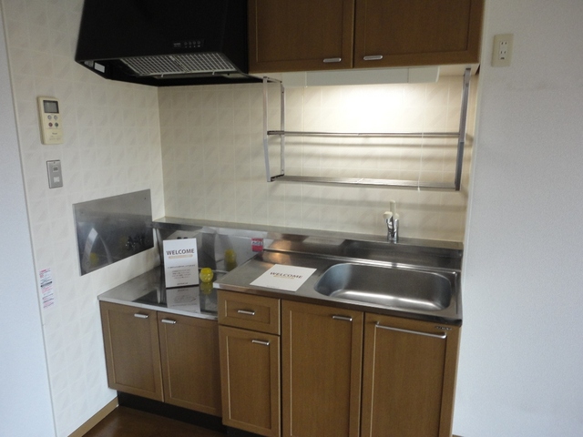 ��ʌ��������܎s�k����i���Q���ڂ̃A�p�[�g�̃L�b�`��