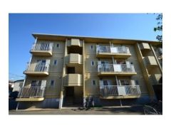 ��ʌ��������܎s��΋�{���P����3-25�̃}���V�����̌����O��