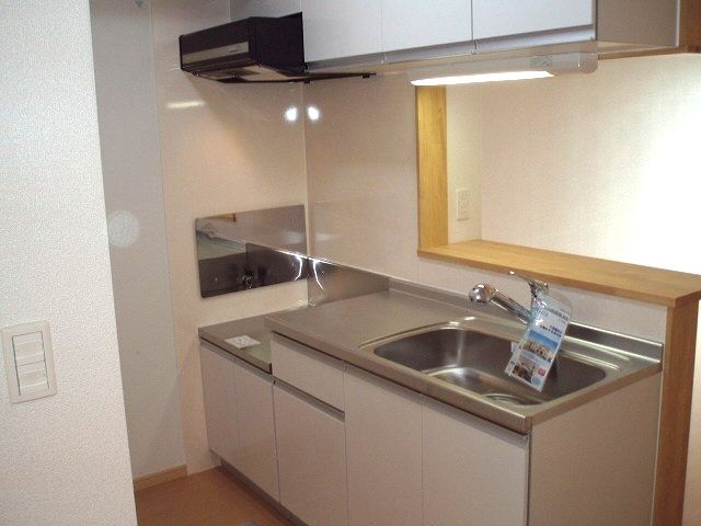 ��ʌ��������܎s����厚�_�c�̃A�p�[�g�̃L�b�`��