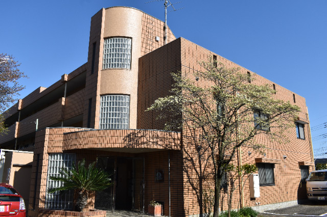 ��ʌ��������܎s����厚�w��̃}���V�����̃G���g�����X