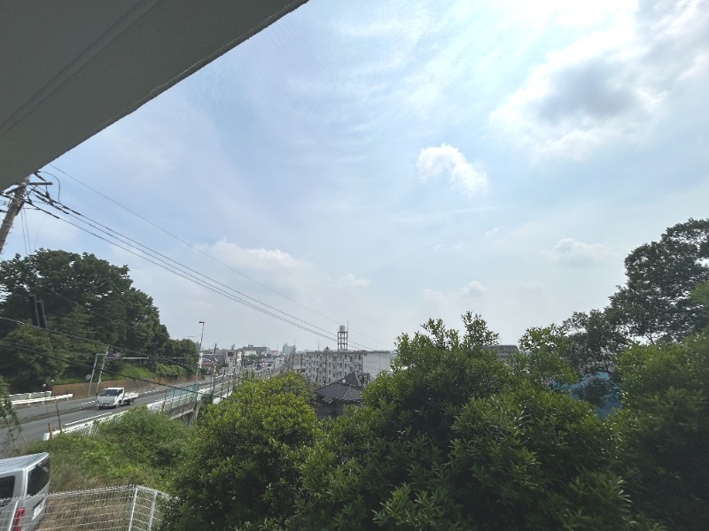 ��ʌ���z�s�x�m�����̃}���V�����̂��̑�