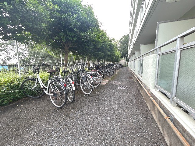 ��ʌ���z�s�x�m�����̃}���V�����̂��̑�