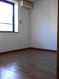 ��ʌ�����s�厚������̃}���V�����̂��̑�