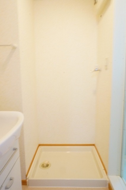 ��ʌ��k�����S�ɓޒ��厚�����̃}���V�����̂��̑�