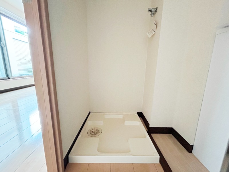 ��ʌ��������܎s��{��������P���ڂ̃}���V�����̂��̑�