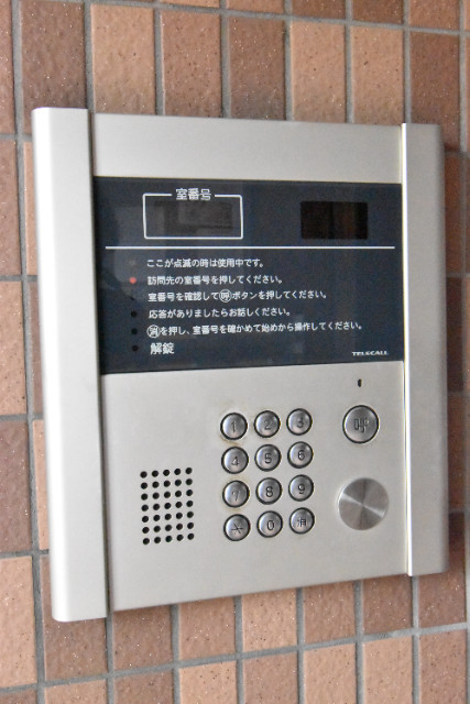 ��ʌ��z�J�s�V�z�J�Q���ڂ̃}���V�����̂��̑�