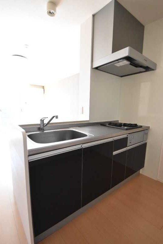 ��ʌ��z�J�s���C�N�^�E���V���ڂ̃A�p�[�g�̃L�b�`��