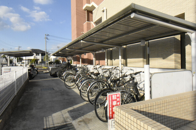 ��ʌ������s�V�����V���ڂ̃}���V�����̂��̑�