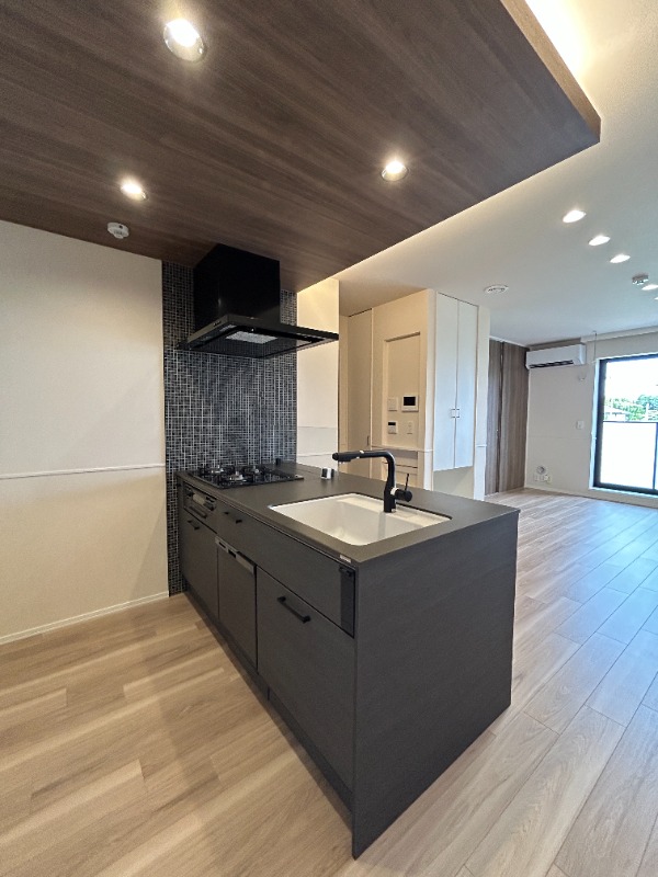 ��ʌ��������܎s�΋�厚�����̃}���V�����̃L�b�`��