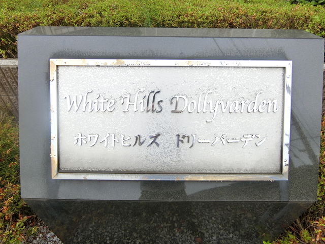 ��ʌ������s���v��̃}���V�����̎���