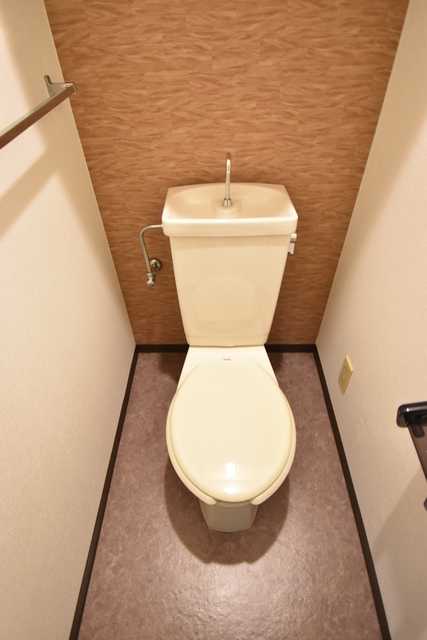 ��ʌ��������܎s������厚���[��̃}���V�����̃g�C��