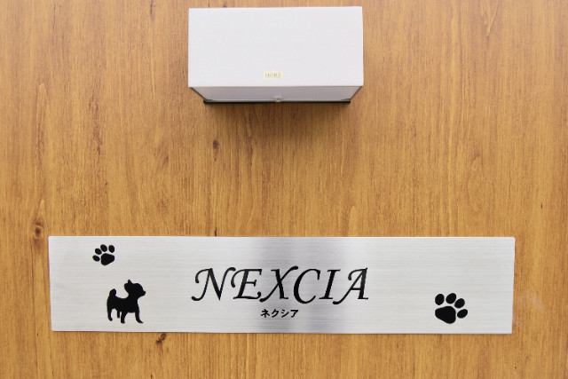 ��ʌ��������܎s����O���T���ڂ̃A�p�[�g�̎���