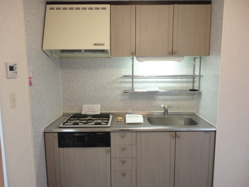 ��ʌ��������܎s�k����i���Q���ڂ̃A�p�[�g�̃L�b�`��