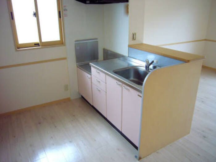 ��ʌ��k�����S�ɓޒ������j�Q���ڂ̃A�p�[�g�̃L�b�`��