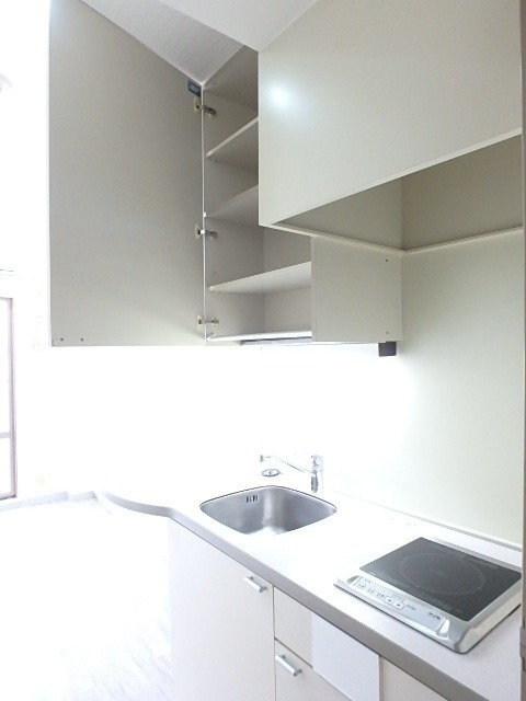 ��ʌ��������܎s�����扺�����U���ڂ̃}���V�����̃L�b�`��