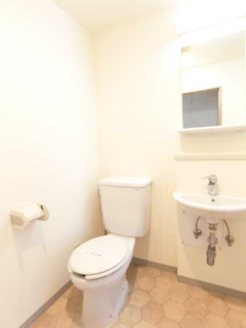 ��ʌ��������܎s�����扺�����U���ڂ̃}���V�����̃g�C��