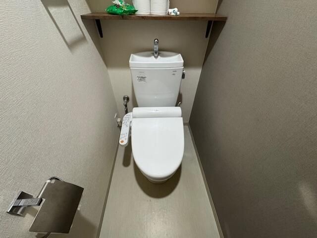 ��ʌ��z�J�s�ԎR�{���̃}���V�����̃g�C��