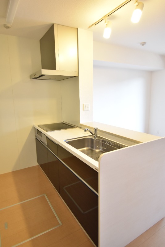 ��ʌ��������܎s�������a�c���P���ڂ̃A�p�[�g�̃L�b�`��